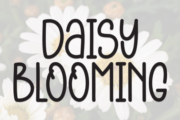 Daisy Blooming: A Warm Display Typeface for Modern Web Design